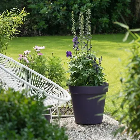 Apartment Nordseeheide-lodges *